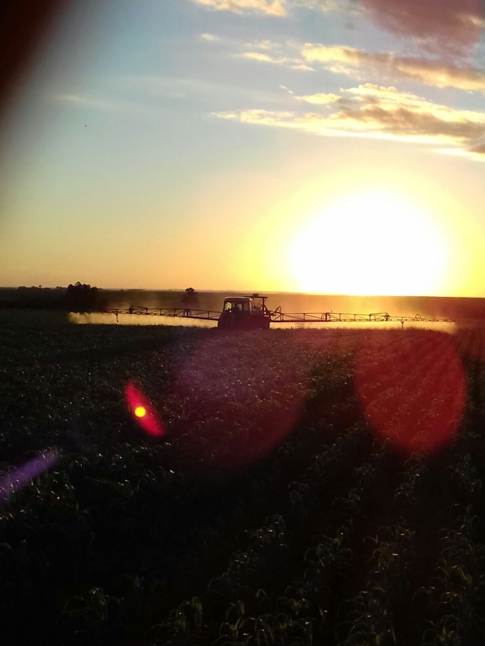 Imagem do dia - Aplicação de inseticida na lavoura em Missal (PR), do produtor Adelino Strieder