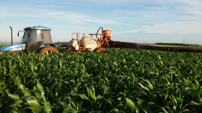 Imagem do dia - Aplicação de fungicida na lavoura de milho em Marcelo Mosconi