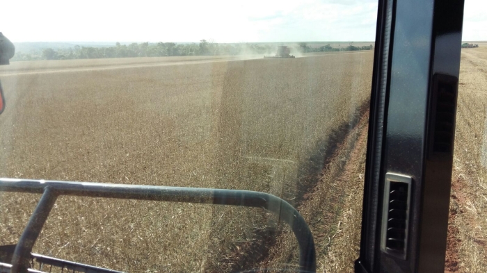 Imagem do dia - Colheita de soja em Estância Principado (PY)