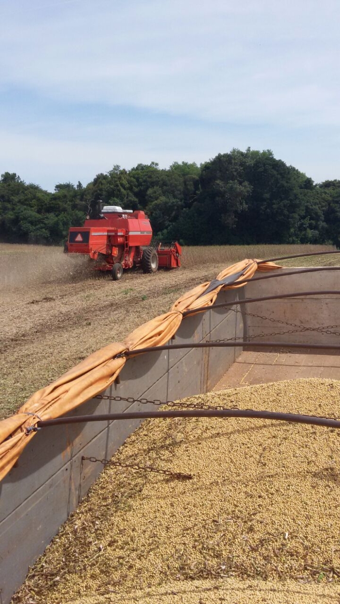Imagem do dia - Colheita de soja em Erval Velho (SC), do produtor Marcelo Conte Jr.