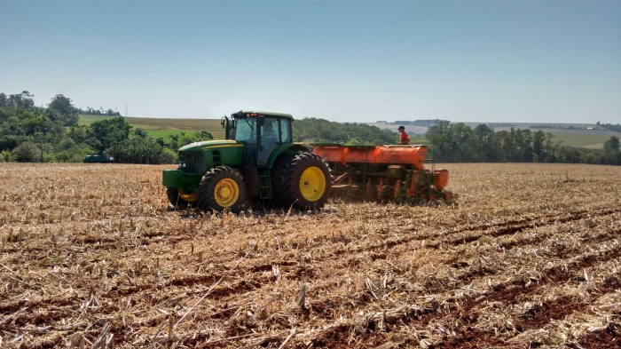 Imagem do dia - Plantio de milho em Marechal Cândido Rondon (PR), do produtor Eno Pedde. Envio do Engenheiro Agrônomo Darlan Verona