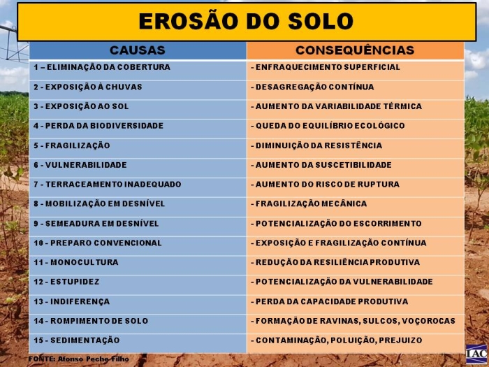 erosao afonso peche filho 1