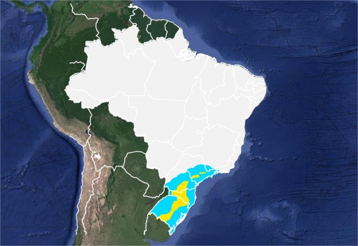 Mapa das áreas com previsão de geadas nesta quarta-feira (05) em todo o Brasil - Fonte: Inmet