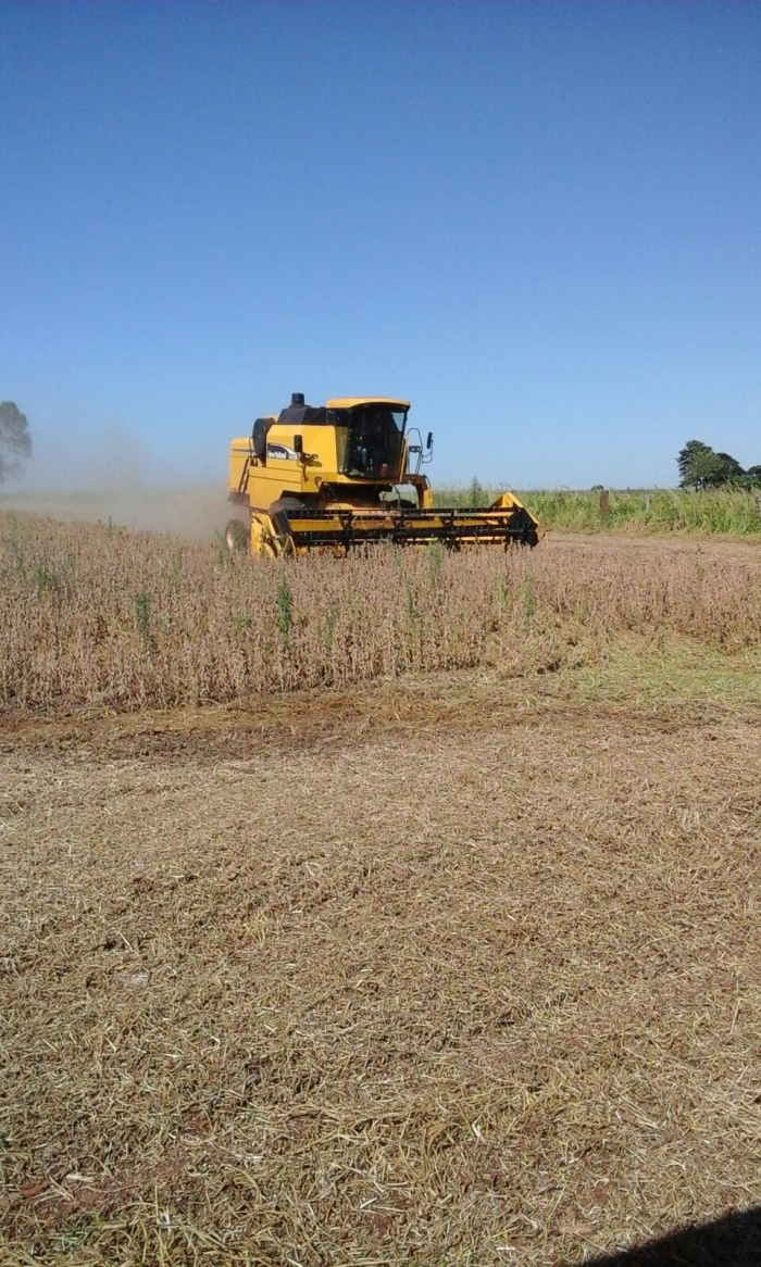 Imagem do dia - Colheita de soja em Mbaracayu (PY), da Família Wolf. Enviado por Gilson Wolf