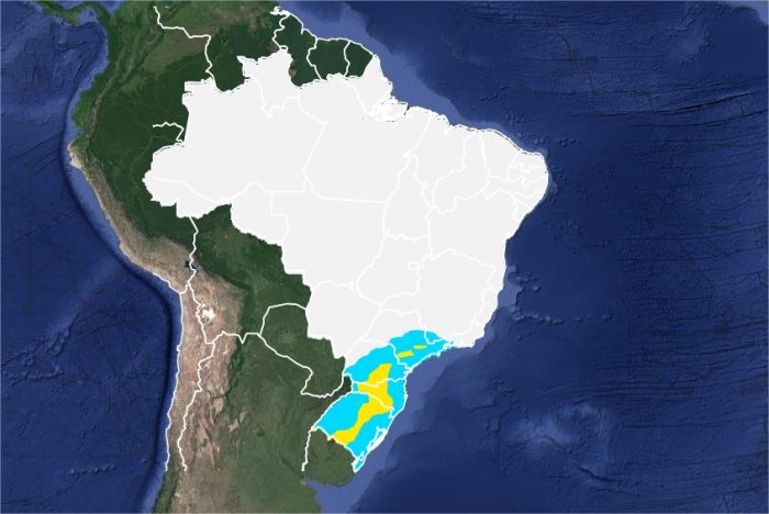 Mapa das áreas com previsão de geadas nesta quarta-feira em todo o Brasil - Fonte: Inmet