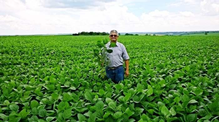 Imagem do dia - Lavoura de soja em Patrocínio (MG), do produtor  Antonio José de Lima