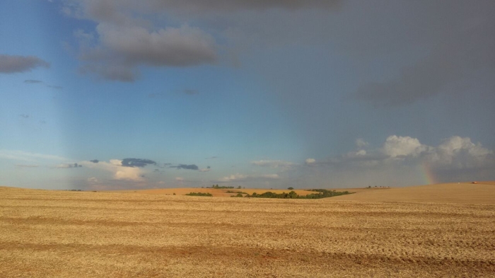 Imagem do dia - Fim da colheita da soja em Jacutinga (RS), na Fazenda Idalina, do produtor Avelino Ricardo Menegaz