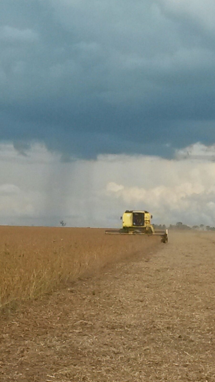 Imagem do dia - Colheita da soja em Tabaporã (MT), da Família Dietrich