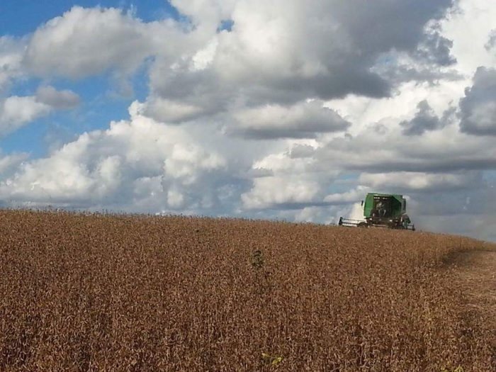 Imagem do dia - Colheita de soja em Santa Rosa del Monday (PY), do produtor Paulo José Cristo