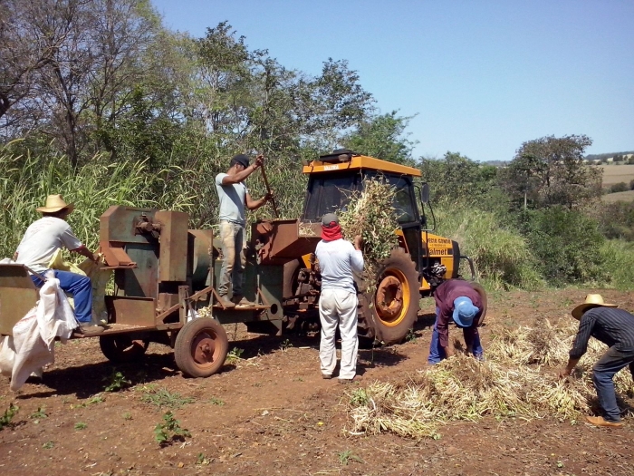 Imagem do dia - Colheita de feijão carioca em Uraí (PR), do produtor Fernando Gusmão