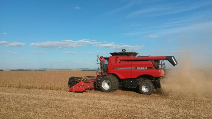 Imagem do dia - Início da colheita de soja em Mamborê (PR), do produtor Camilo Brunetta