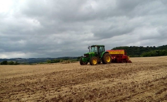 Imagem do dia - Plantio de soja em Sede Nova (RS), do produtor Pedro Amauri Werner