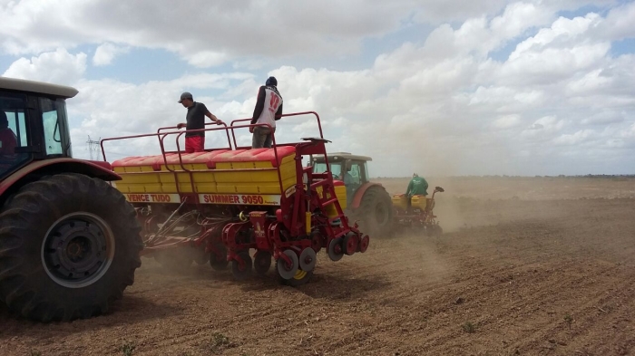 Imagem do dia - Início do plantio de milho em Poço Verde (SE), do produtor Everaldo