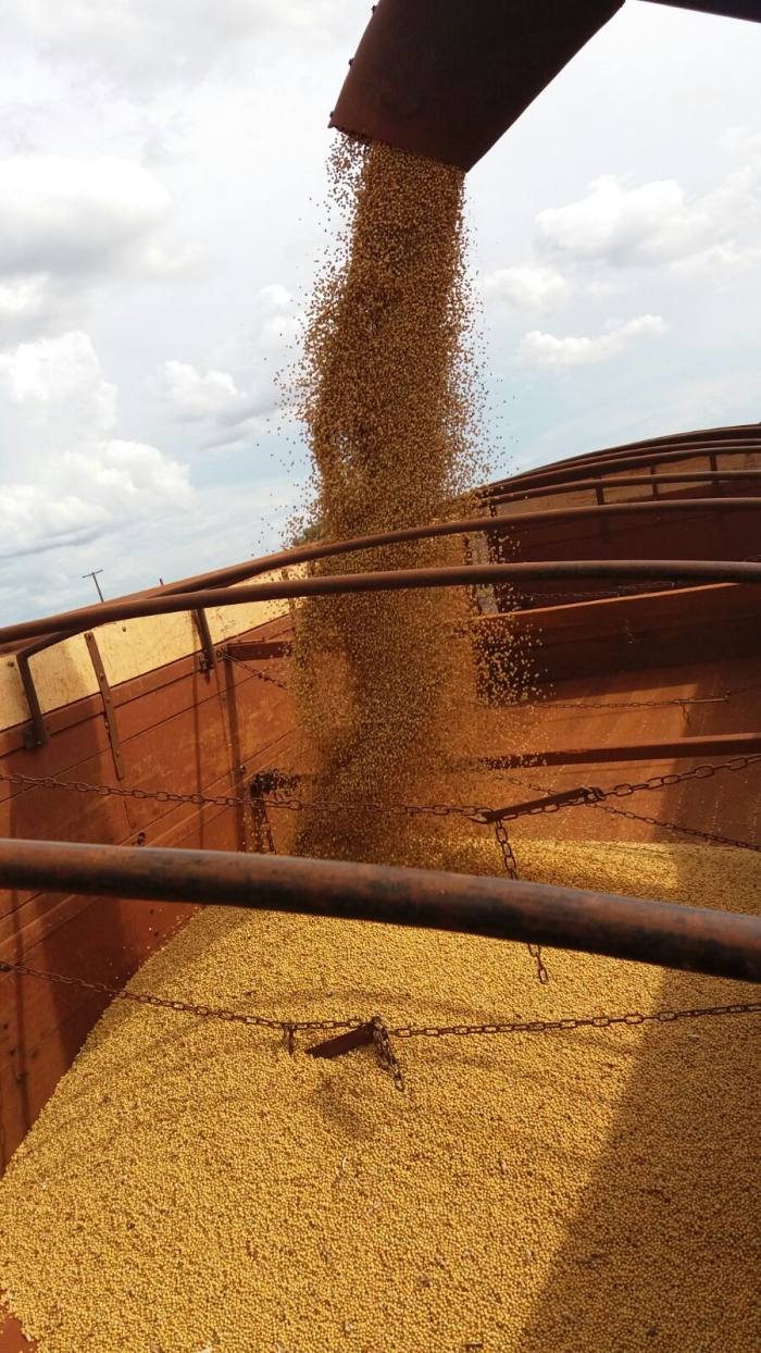 Imagem do dia - Colheita de soja em Cruzália (SP), do produtor Everton Varolo