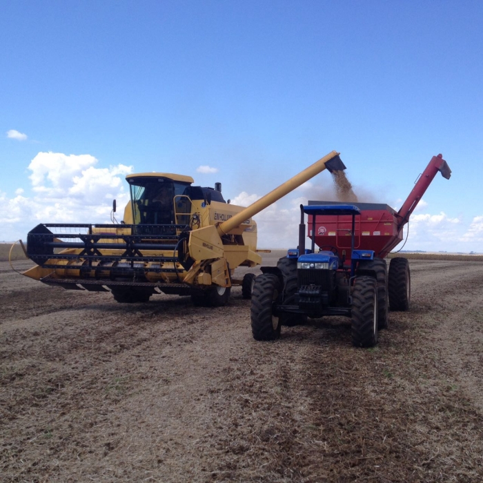 Imagem do dia - Colheita de soja em Ronda Alta (RS). Enviado por Geber Strada