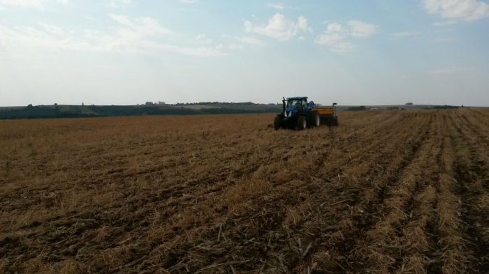 Imagem do dia - Plantio de soja em Yolanda (PR)