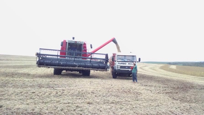 Imagem do dia - Colheita do trigo em Entre Rios do Sul (RS), da Familia Conti. Enviado por Diego Conti