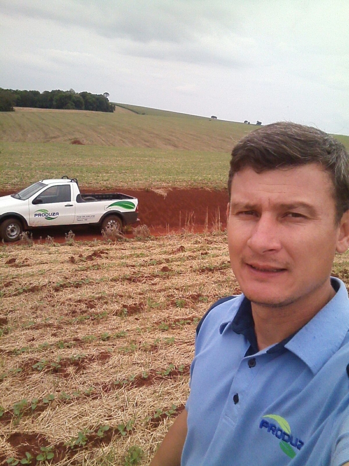 Imagem do dia - Lavoura de soja em Saldanha Marinho (RS). Enviado por Daniel Ledur