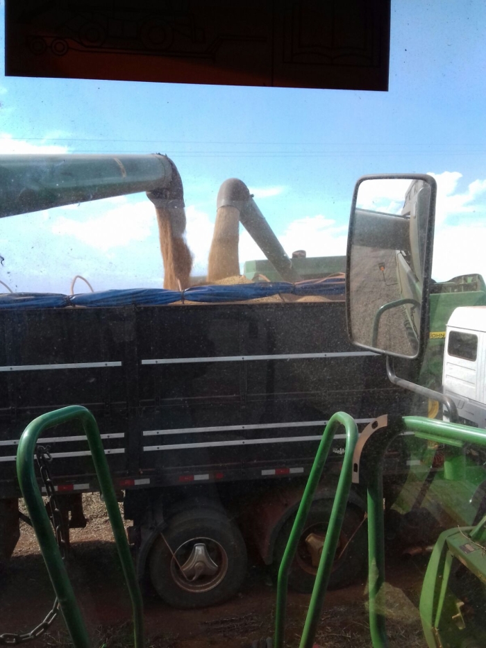 Imagem do dia - Colheita de soja em Itaipulândia (PR), do produtor Leandro Strieder