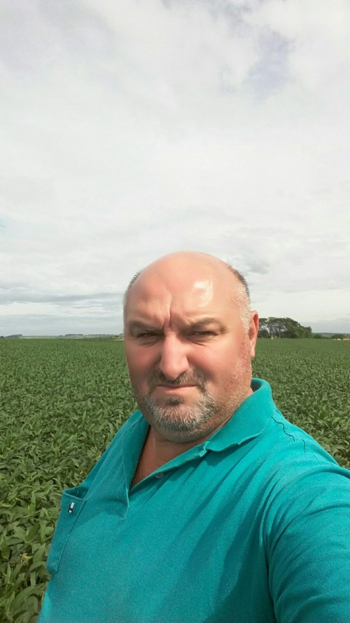 Imagem do dia - Lavoura de soja precoce em Pantano Grande (RS), do produtor Celso Bertoldi