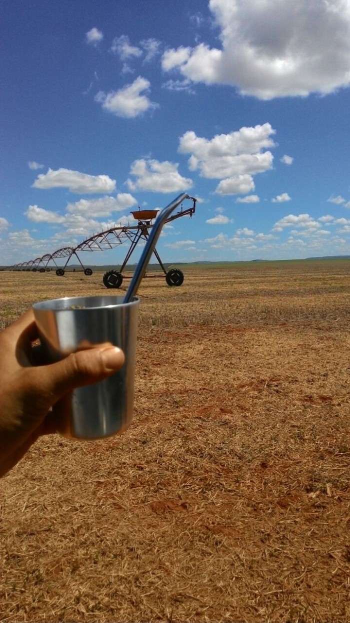 Imagem do dia - Colheita de soja em Coromandel (MG). Envio do Técnico Agrícola Reginaldo