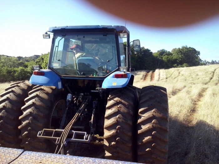 Imagem do dia - Plantio de soja em Tupanci do Sul (RS),do produtor Alceu Soares Moreira. Enviado pelo Técnico Agrícola Cleverson Pansera
