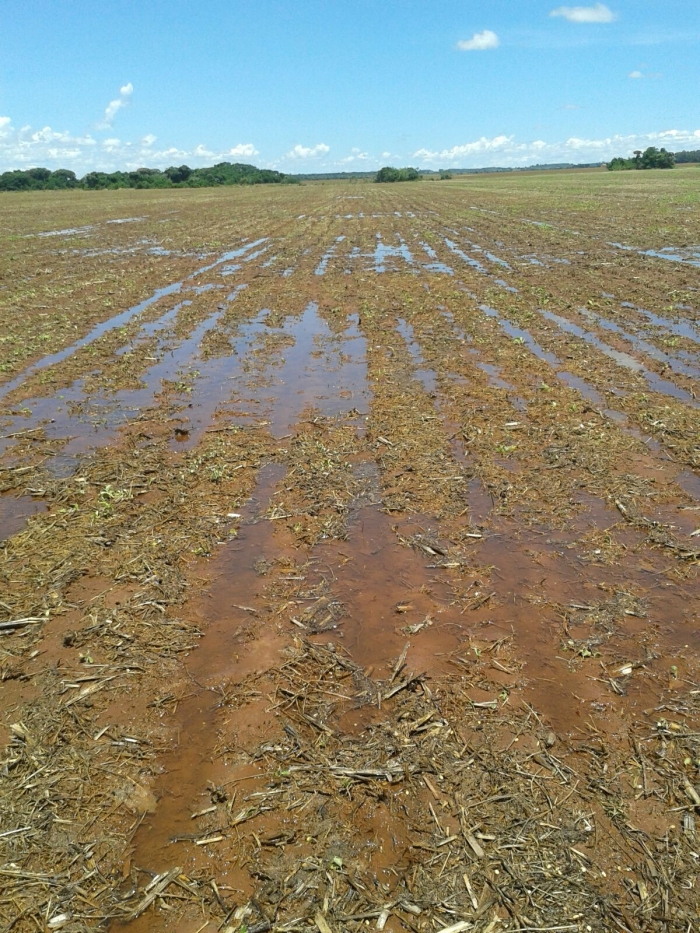 Imagem do dia - Áreas afetadas pelas chuvas em Sidrolândia (MS)