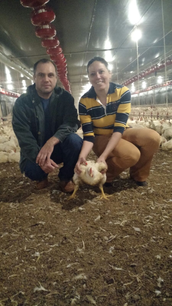 Imagem do dia - Fotos do primeiro lote de frango da família Visioli em Maringá (PR)