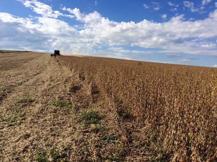 Imagem do dia - Colheita da soja em Candói (PR), do produtor Crissian Souza, na Fazenda Casa Branca