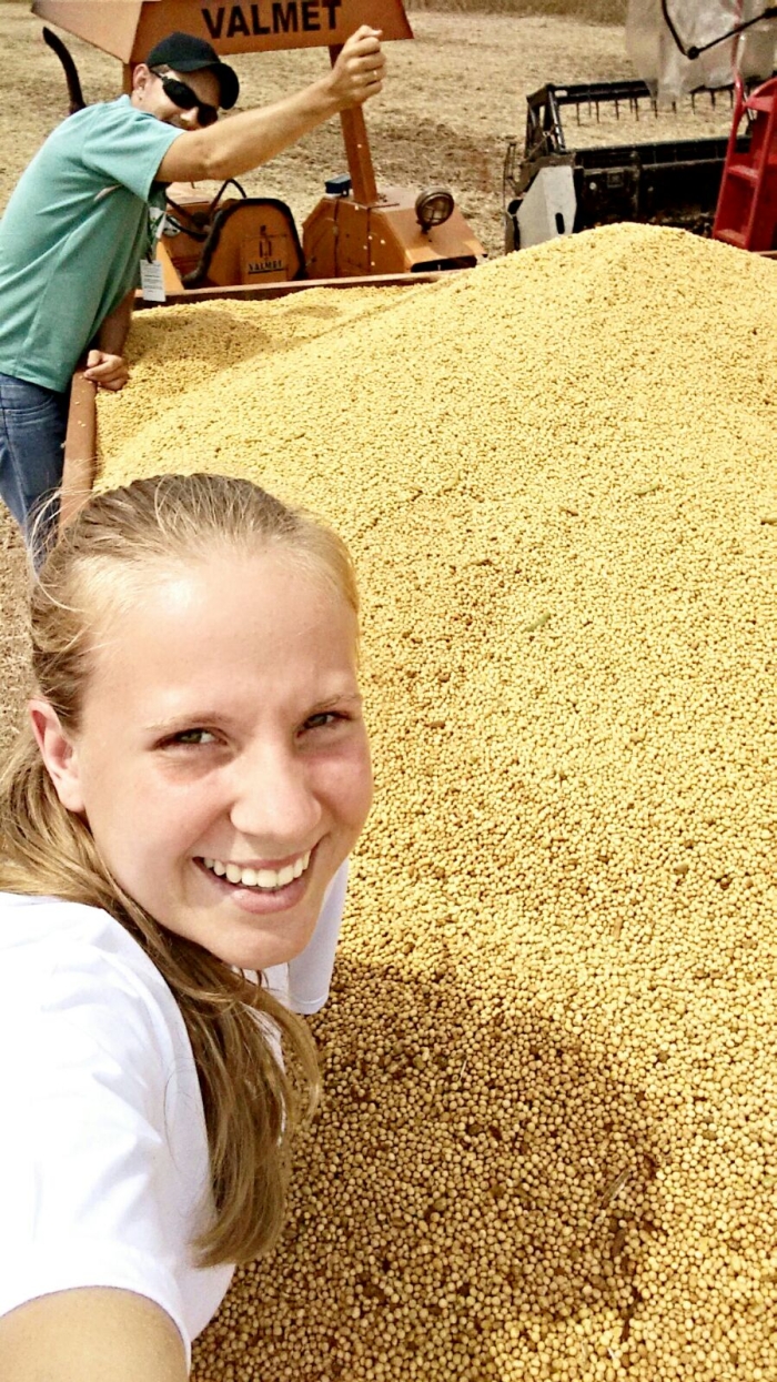 Imagem do dia - Colheita de soja em Barra Funda (RS). Enviado por Édina Raber