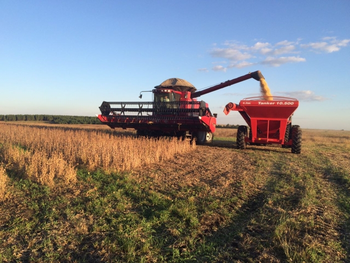 Imagem do dia - Colheita de soja em Ponta Grossa (PR)