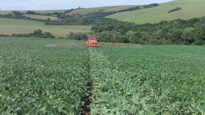 Imagem do dia - Segunda aplicação de fungicida no Sítio Alvorada, em Boa Ventura de São Roque (PR), do produtor Raul Henrique Weber