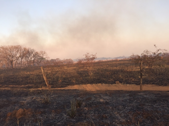 Imagem do dia - Incêndio nos canaviais na região de Porteirão (GO) e Santa Helena de Goiás (GO), na última sexta-feira (11). Enviado por Dario Esteves