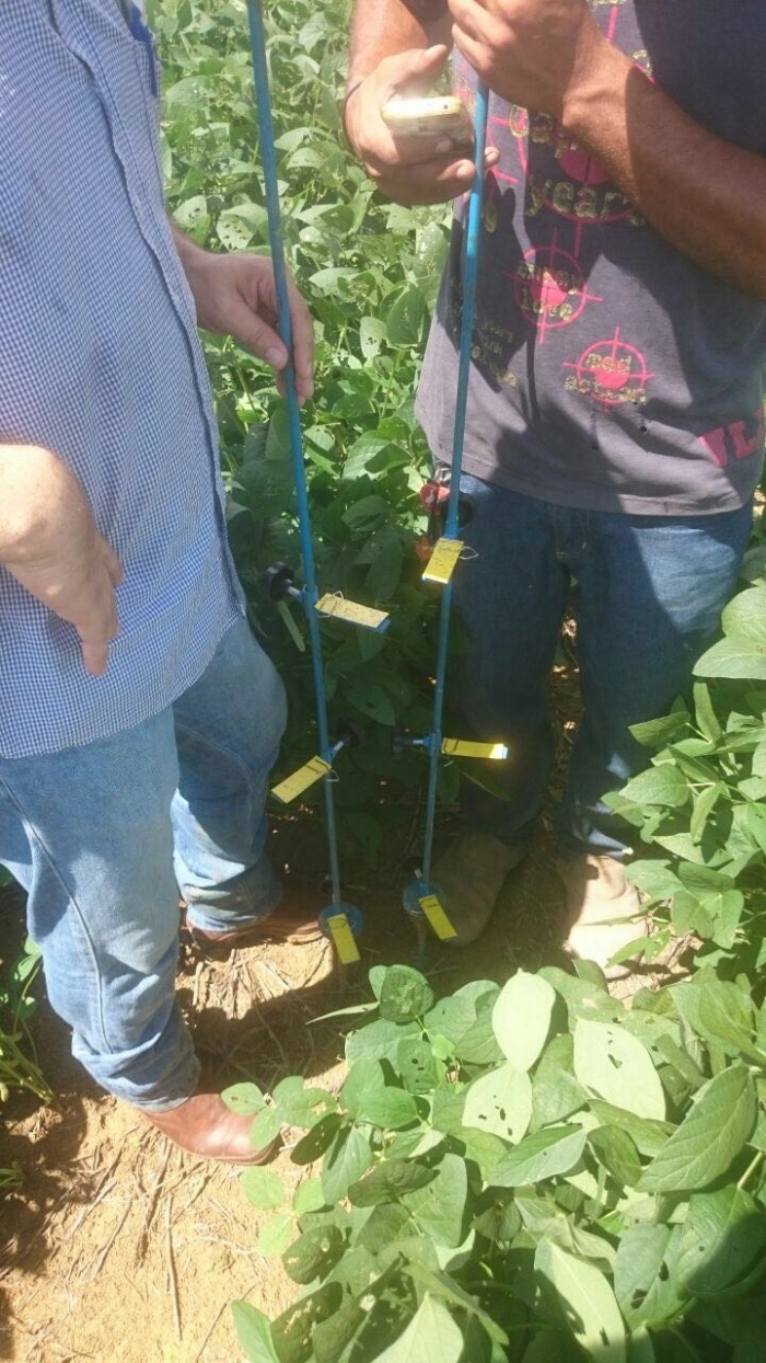 Imagem do dia - Avaliação de tecnologia de aplicação de defensivos agrícola em Dom Eliseu (PA)
