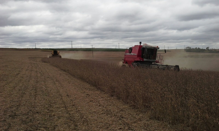 Imagem do dia - Colheita de soja em Bela Vista Caroba (PR), do produtor Alberto de Conti