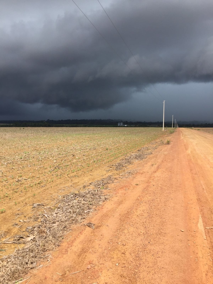 Imagem do dia - Lavoura de soja em Santarém (PA), do produtor Fernando Ambiel