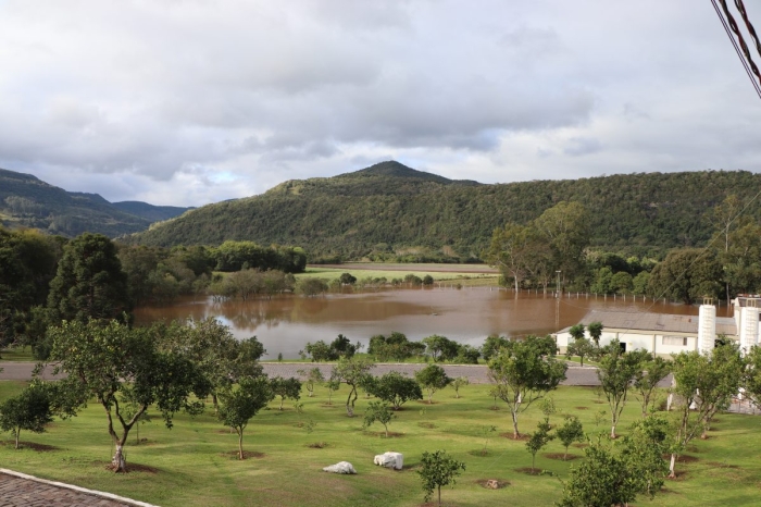 dalia alimentos enchente
