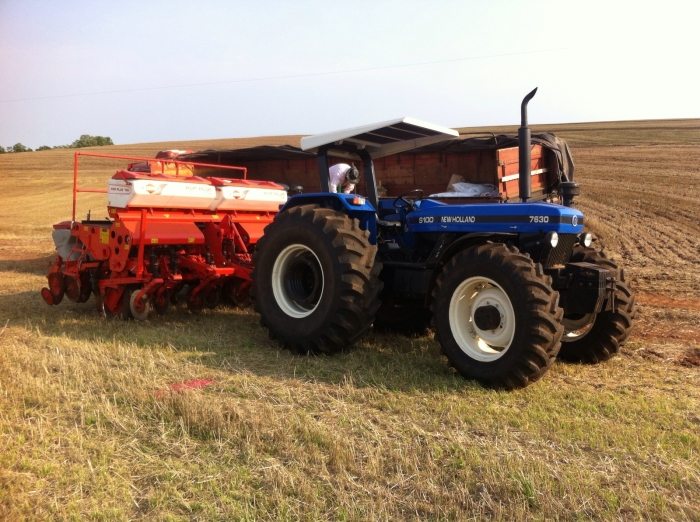 Imagem do dia - Plantio de soja em Planalto (PR), do produtor Lino De Conti