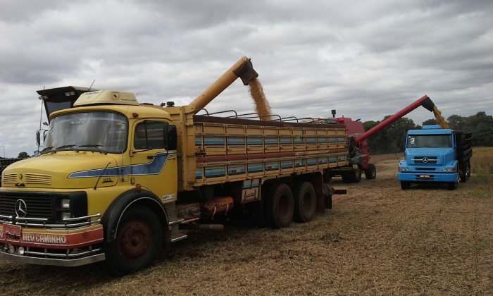 Imagem do dia - Colheita de soja em Bela Vista Caroba (PR), do produtor Alberto de Conti