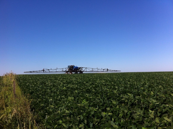 Imagem do dia - Lavoura de soja em Palmeira das Missões (RS), da Família Pias