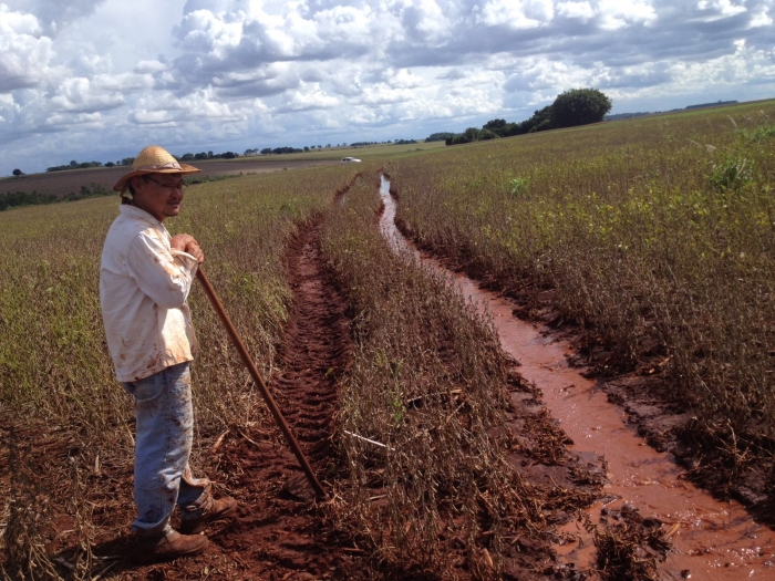 Imagem do dia - Celso Tadashi Hanaoka na lavoura de soja em Dourados (MS). Enviado pelo Técnico Agrícola  José Augusto Sanches Bicudo