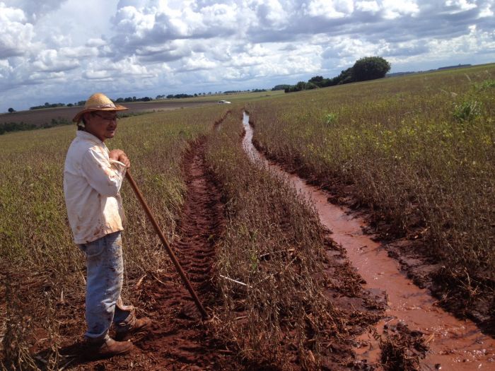 Imagem do dia - Celso Tadashi Hanaoka na lavoura de soja em Dourados (MS). Enviado pelo Técnico Agrícola  José Augusto Sanches Bicudo