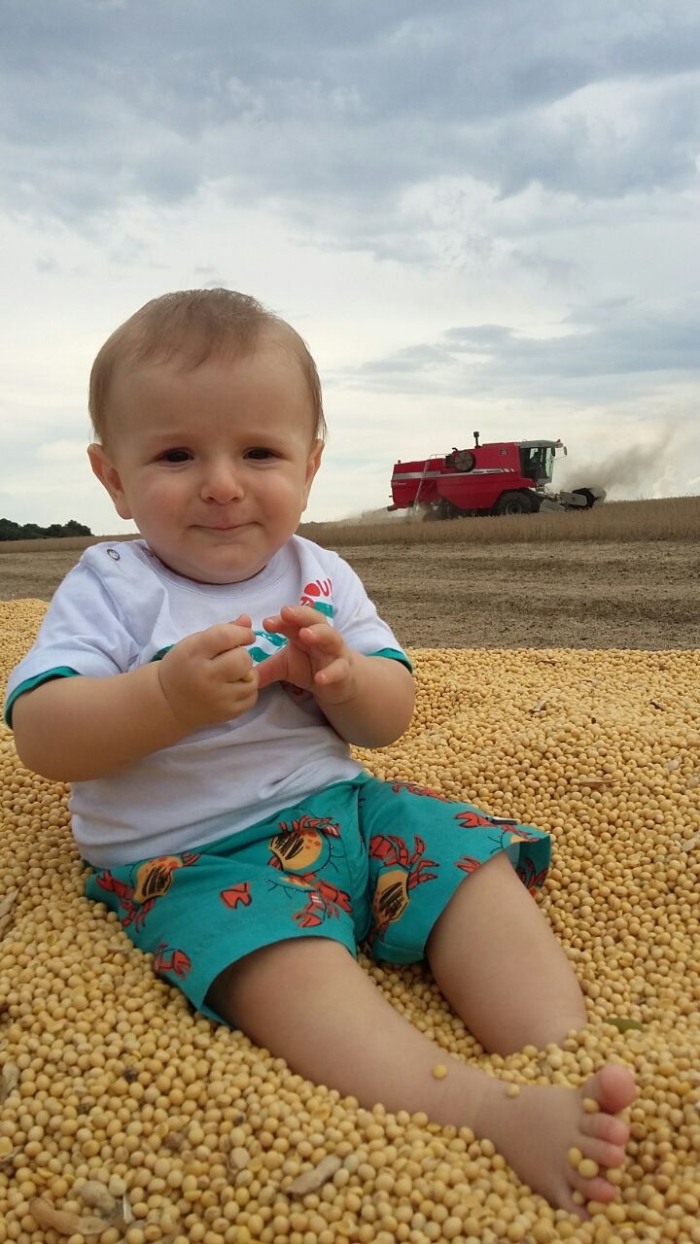 Imagem do dia - Germano Maldaner Muller na colheita de soja da Família Maldaner em Lagoa dos Três Cantos (RS). Enviado por Geórgia Maldaner