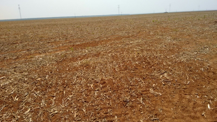 Imagem do dia - Produtores aguardam chuvas em Sorriso (MT) para o início do plantio. Enviado por Claudino Tirloni