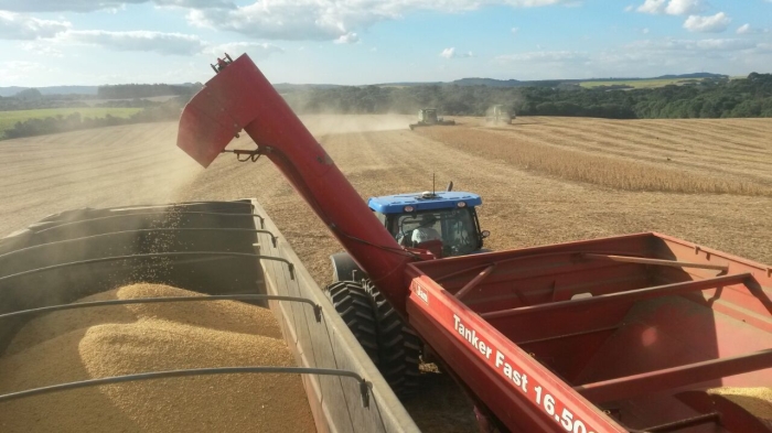 Imagem do dia - Finalizando colheita de soja na Fazenda Confisco em Piraí do Sul (PR), do produtor Arata Hara. Enviado pelo Técnico Agrícola Augusto Amaral