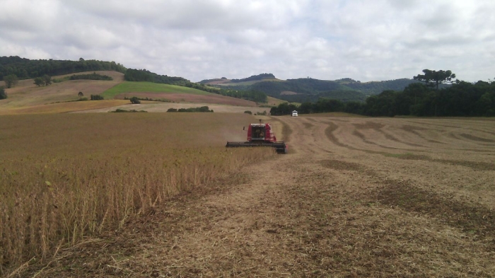 Imagem do dia - Colheita de soja em David Canabarro (RS), do produtor Itacir Trevisan. Enviado por Thalia Trevisan