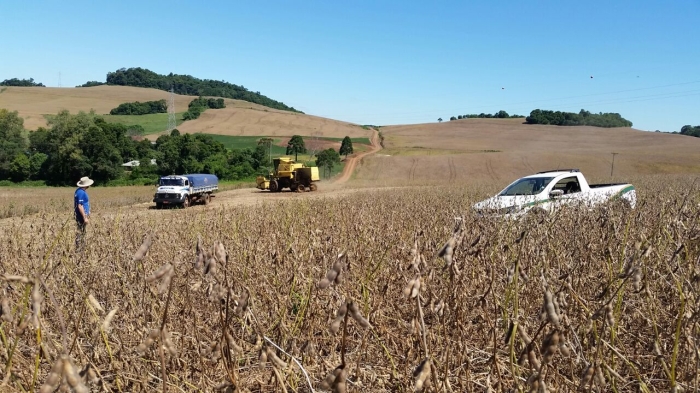 Imagem do dia - Colheita de soja em Sertão (RS), propriedade de Zilmar Castelli.  Foto enviado por Moisés Peretti