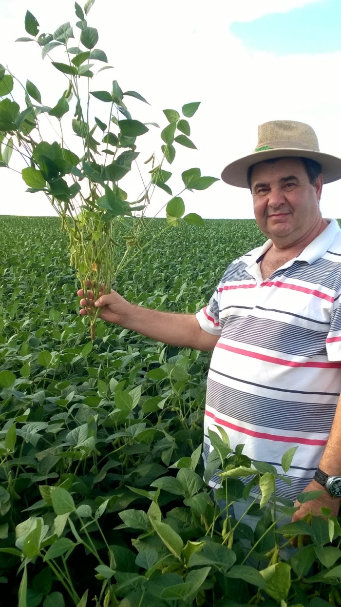 Imagem do dia - Lavoura de soja em Vila Lângaro (RS), da Família Conte