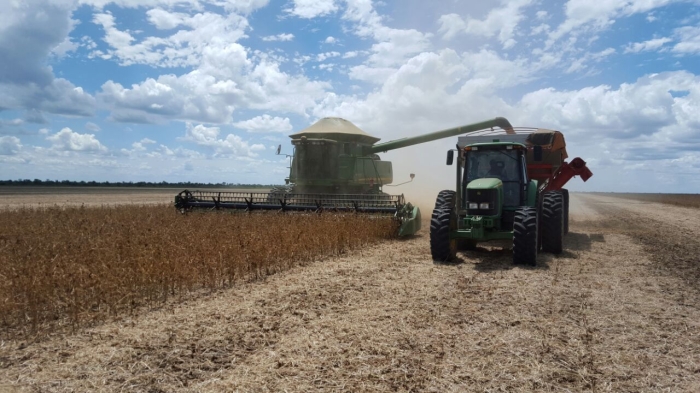 Imagem do dia - Colheita de soja na Fazenda Santa Rosa em Alto Parnaíba (MA). Enviado Hariwald Busse