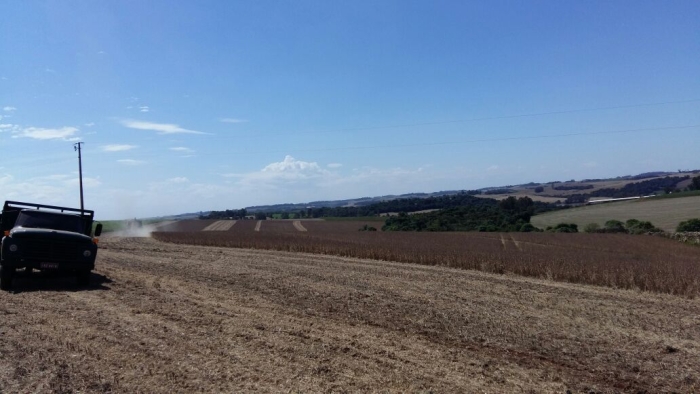 Imagem do dia - Colheita de soja em Ibirubá (RS), do produtor Fernando Becker Wilke